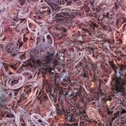 Untitled design - 2025-04-21T185744.929